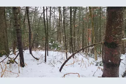 6908 E 18th Street, White Cloud, MI 49349 - Photo 11