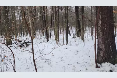 6908 E 18th Street, White Cloud, MI 49349 - Photo 3