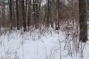 6908 E 18th St, White Cloud, MI 49349 - Photo 1