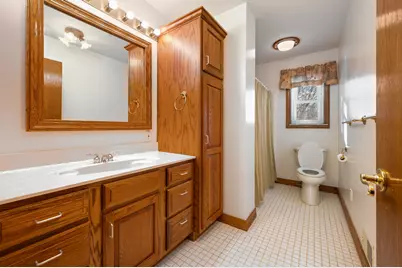 3285 Mineral Springs Trail, Mount Pleasant, MI 48858 - Photo 39