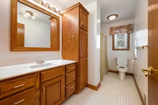 3285 Mineral Springs Trail, Mount Pleasant, MI 48858 - Photo 39