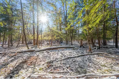 3285 Mineral Springs Trail, Mount Pleasant, MI 48858 - Photo 11