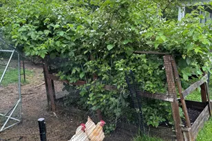 750 Southampton Ct, Auburn Hills, MI 48326 - Photo 35