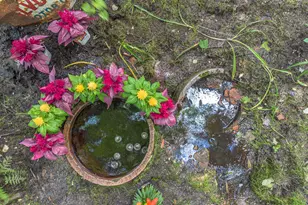 1115 Gobblers Knob Rd, Boyne City, MI 49712 - Photo 37