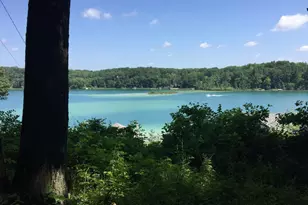 371 Burgess Lake Rd, Greenville, MI 48838 - Photo 1