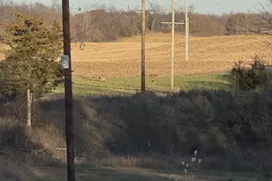 10001 Pioneer Rd, Osseo, MI 49266 - Photo 67