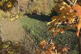 10001 Pioneer Rd, Osseo, MI 49266 - Photo 73