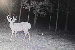 10001 Pioneer Rd, Osseo, MI 49266 - Photo 7