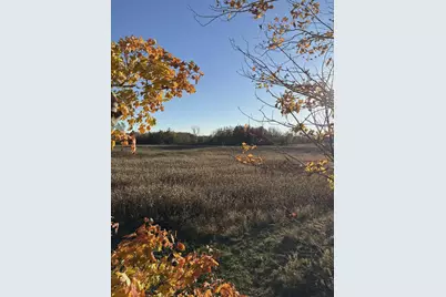 10001 Pioneer Road, Osseo, MI 49266 - Photo 71