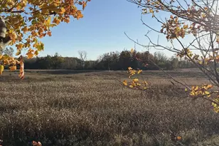 10001 Pioneer Rd, Osseo, MI 49266 - Photo 71