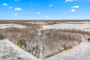 10001 Pioneer Rd, Osseo, MI 49266 - Photo 17