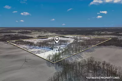 10001 Pioneer Road, Osseo, MI 49266 - Photo 11