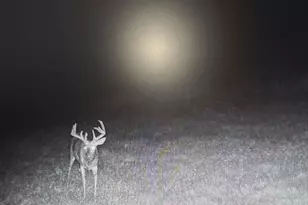 10001 Pioneer Rd, Osseo, MI 49266 - Photo 15