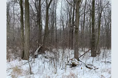 W Copeland Road #2, Bronson, MI 49028 - Photo 3