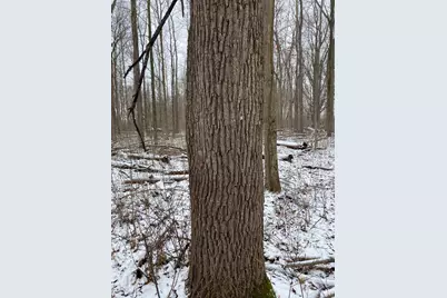 W Copeland Road #2, Bronson, MI 49028 - Photo 1