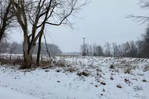 W Thompson Rd, Bronson, MI 49028 - Photo 1