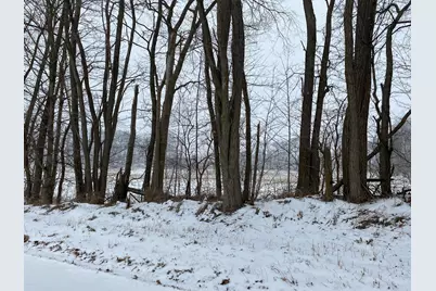 W Thompson Road, Bronson, MI 49028 - Photo 3