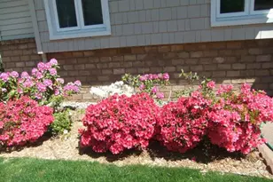 2921 Rosewood St, Hudsonville, MI 49426 - Photo 41