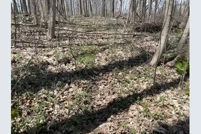 S 1st Street, Schoolcraft, MI 49087 - Photo 23