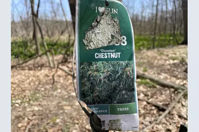 S 1st Street, Schoolcraft, MI 49087 - Photo 15