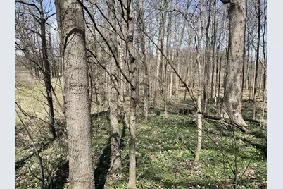 S 1st Street, Schoolcraft, MI 49087 - Photo 27