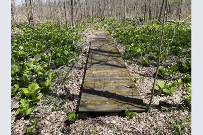 S 1st Street, Schoolcraft, MI 49087 - Photo 19