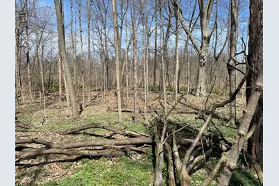 S 1st Street, Schoolcraft, MI 49087 - Photo 25