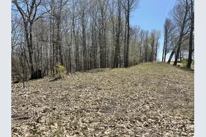 S 1st Street, Schoolcraft, MI 49087 - Photo 9