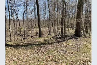 S 1st Street, Schoolcraft, MI 49087 - Photo 13