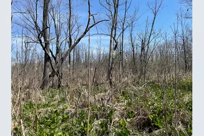 S 1st Street, Schoolcraft, MI 49087 - Photo 21