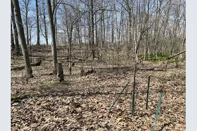 S 1st Street, Schoolcraft, MI 49087 - Photo 17