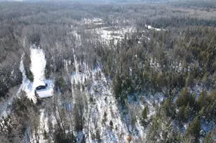 1710 Miller Rd, Lincoln, MI 48742 - Photo 25