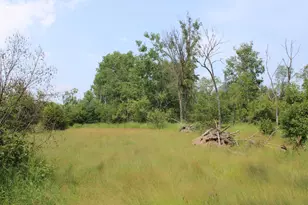 1710 Miller Rd, Lincoln, MI 48742 - Photo 43