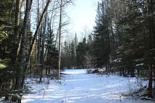 1710 Miller Rd, Lincoln, MI 48742 - Photo 55