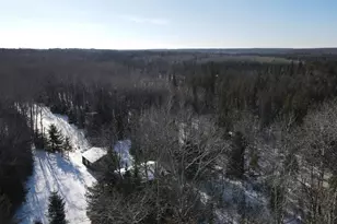 1710 Miller Rd, Lincoln, MI 48742 - Photo 27