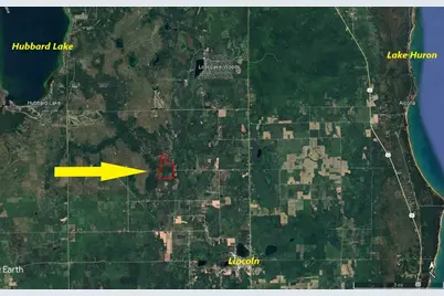 1710 Miller Road, Lincoln, MI 48742 - Photo 59