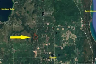 1710 Miller Rd, Lincoln, MI 48742 - Photo 59