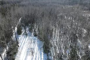 1710 Miller Rd, Lincoln, MI 48742 - Photo 31