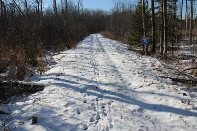 1710 Miller Road, Lincoln, MI 48742 - Photo 47