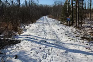 1710 Miller Rd, Lincoln, MI 48742 - Photo 47