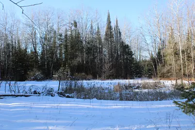 1710 Miller Road, Lincoln, MI 48742 - Photo 51