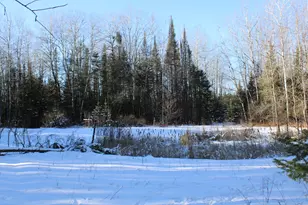 1710 Miller Rd, Lincoln, MI 48742 - Photo 51