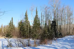 1710 Miller Rd, Lincoln, MI 48742 - Photo 49