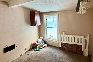 216 Crane St, Union City, MI 49094 - Photo 17