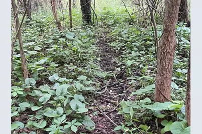 V/L 56th Avenue, Paw Paw, MI 49079 - Photo 23