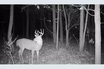 V/L 56th Avenue, Paw Paw, MI 49079 - Photo 3