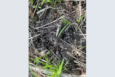 V/L 56th Avenue, Paw Paw, MI 49079 - Photo 33