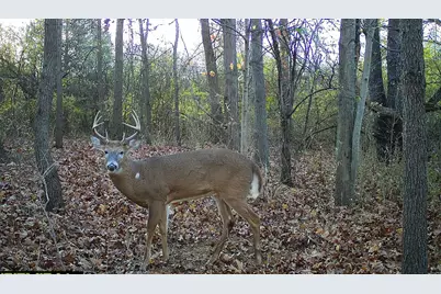 V/L 56th Avenue, Paw Paw, MI 49079 - Photo 5