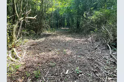 V/L 56th Avenue, Paw Paw, MI 49079 - Photo 27