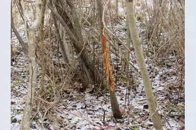 Vl Jefferson Road, Morley, MI 49336 - Photo 23